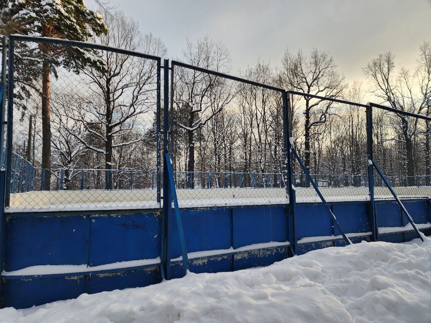 Химки, подмосковье, парки,