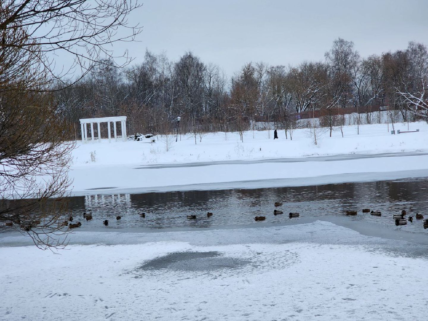 мытищи, парк мира, зима в подмосковье, парки, благоустройство, Михаил Хайкин,