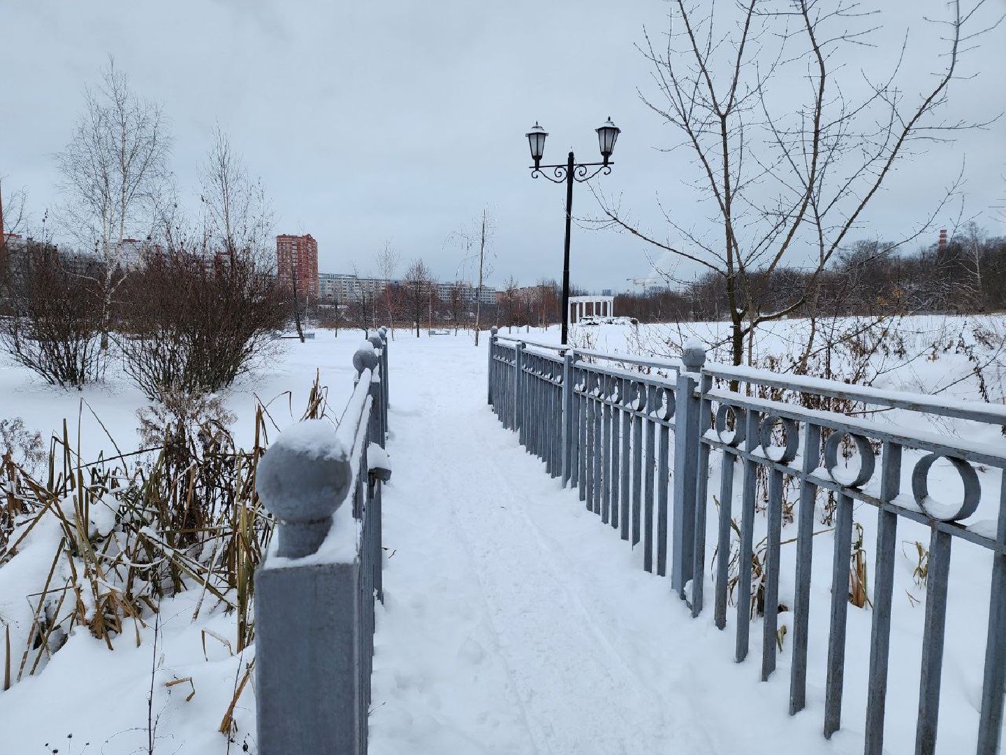 мытищи, парк мира, зима в подмосковье, парки, благоустройство, Михаил Хайкин,