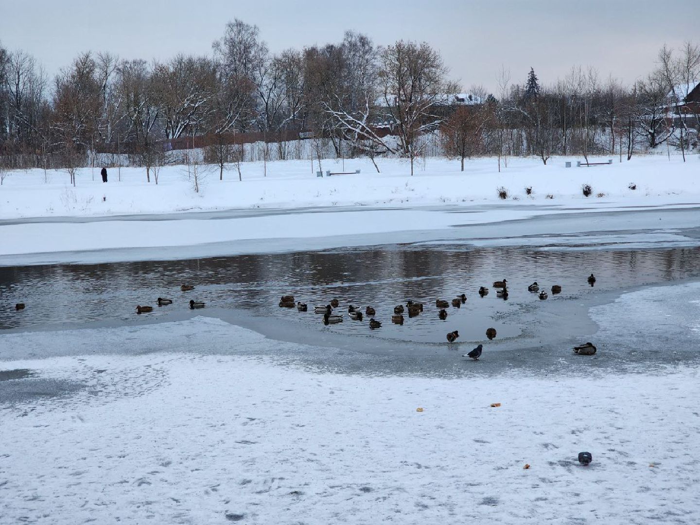 мытищи, парк мира, зима в подмосковье, парки, благоустройство, Михаил Хайкин,