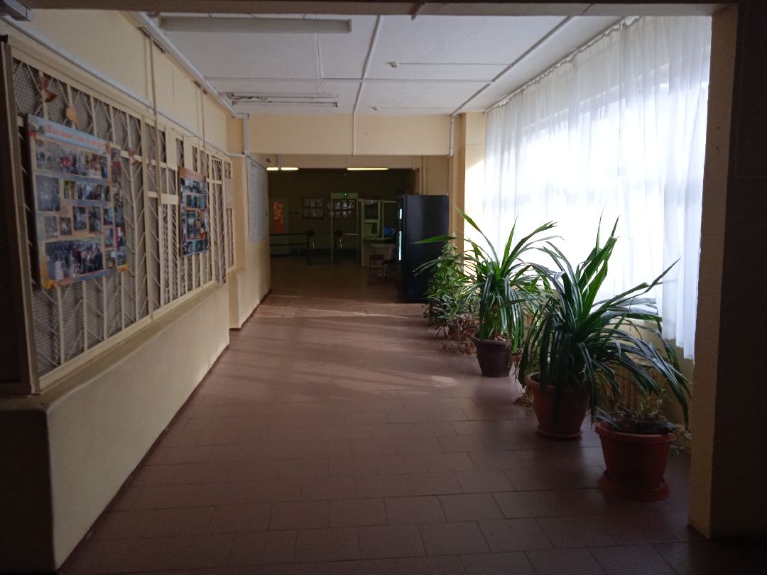 благодарность, губернатор, награда