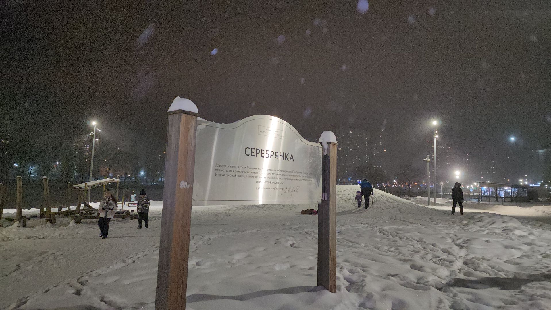 Пушкино, горки, снег, новый год, дети, общество, люди, досуг, Зима в Подмосоковье, Городской округ Пушкинский,