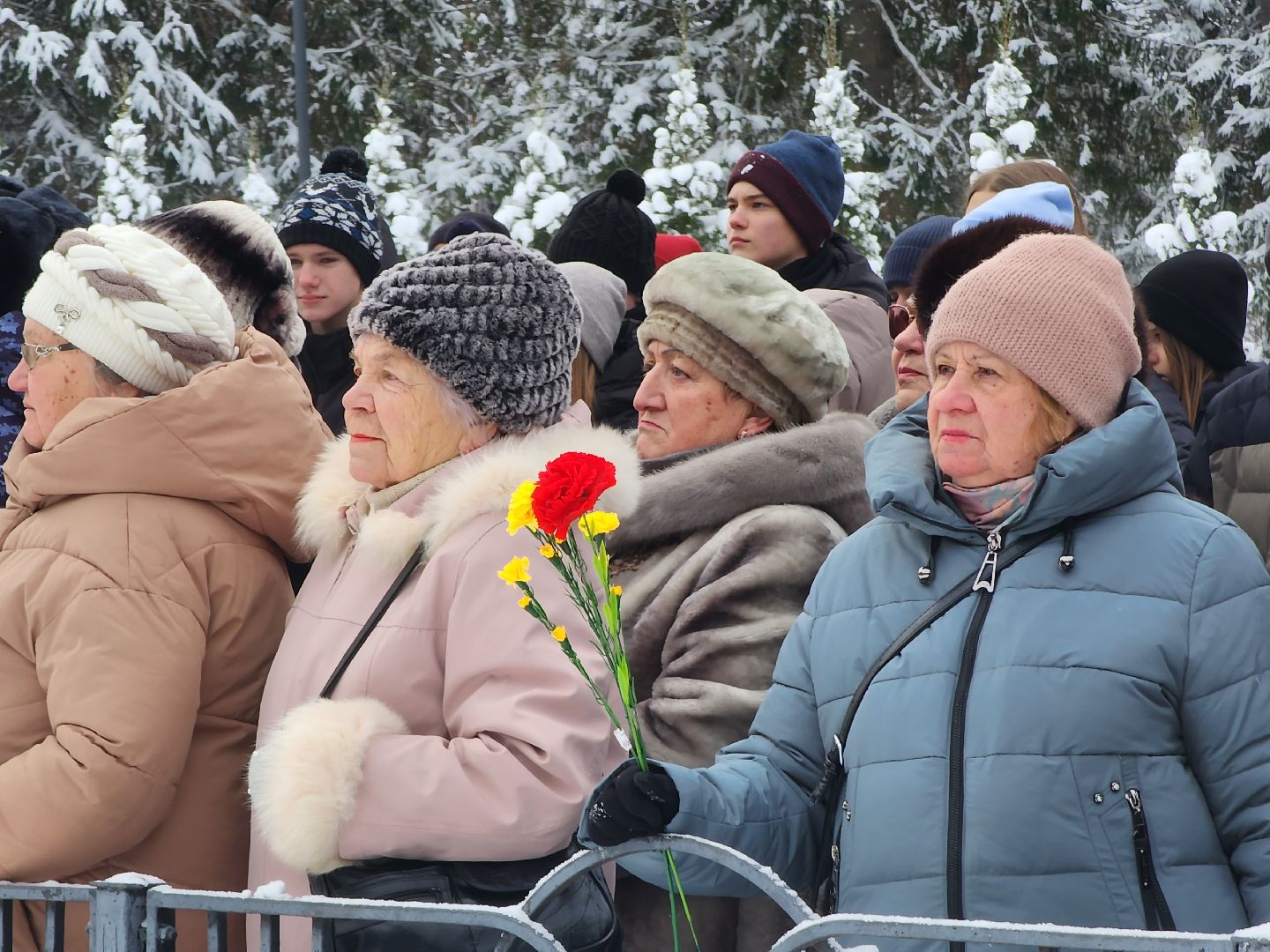Битва под Москвой, Митинг, Акция памяти, Дубна,