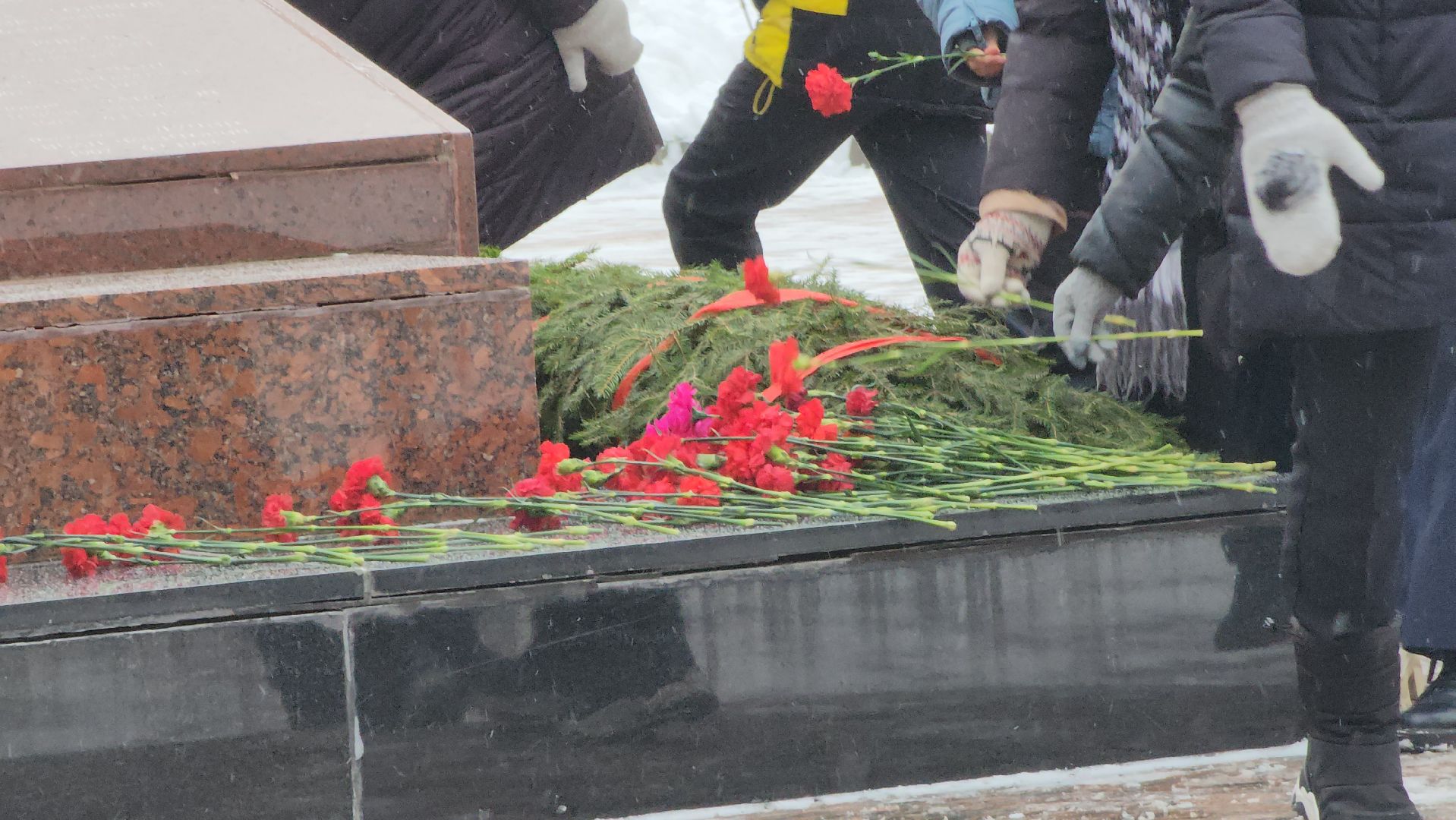 Битва под Москвой, Митинг, Акция памяти, Дубна,