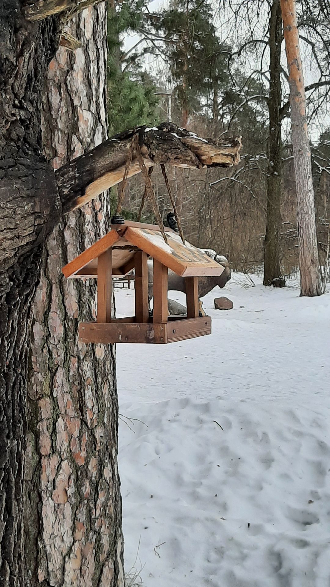 Серпухов Общество