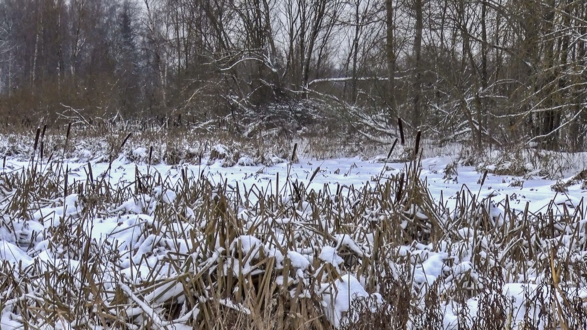 Клин, общество, ЖКХ, перемены, чистая вода,