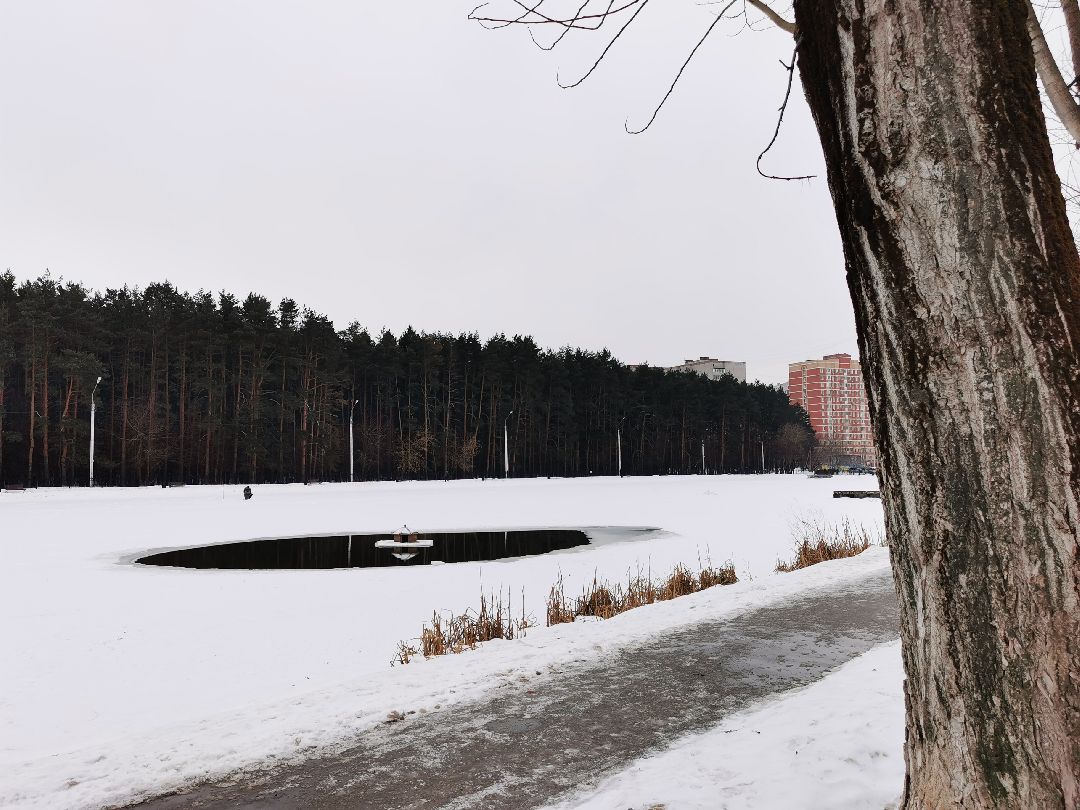 Серпухов Общество