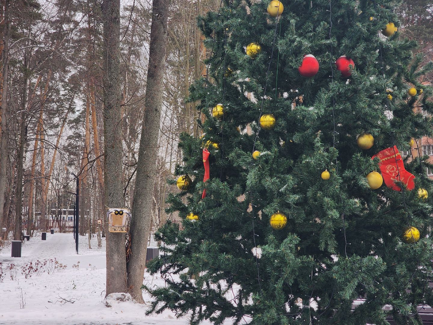 благоустройство, Новый год, украшение города, Ногинск, Богородский городской округ,