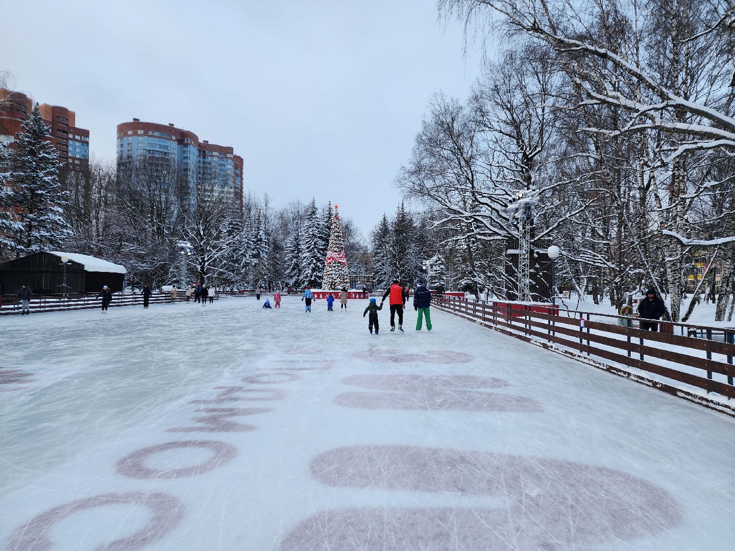 Спорт, общество, химки, подмосковье, конкурсы, успехи, дети, тренер, баскетбол, волейбол, футбол, бокс,