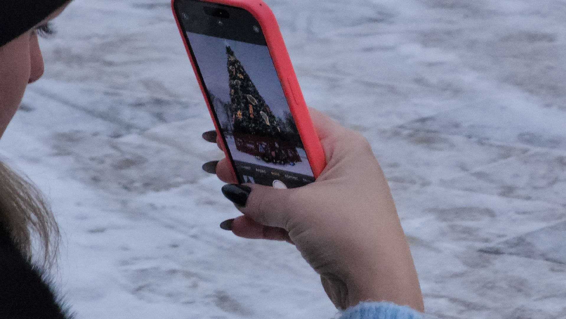 Почта Деда Мороза, Пушкино, парк пушкино, парки подмосковья, Дети, общество, люди, новый год, Городской округ Пушкинский, мечты сбываются, волшебство,