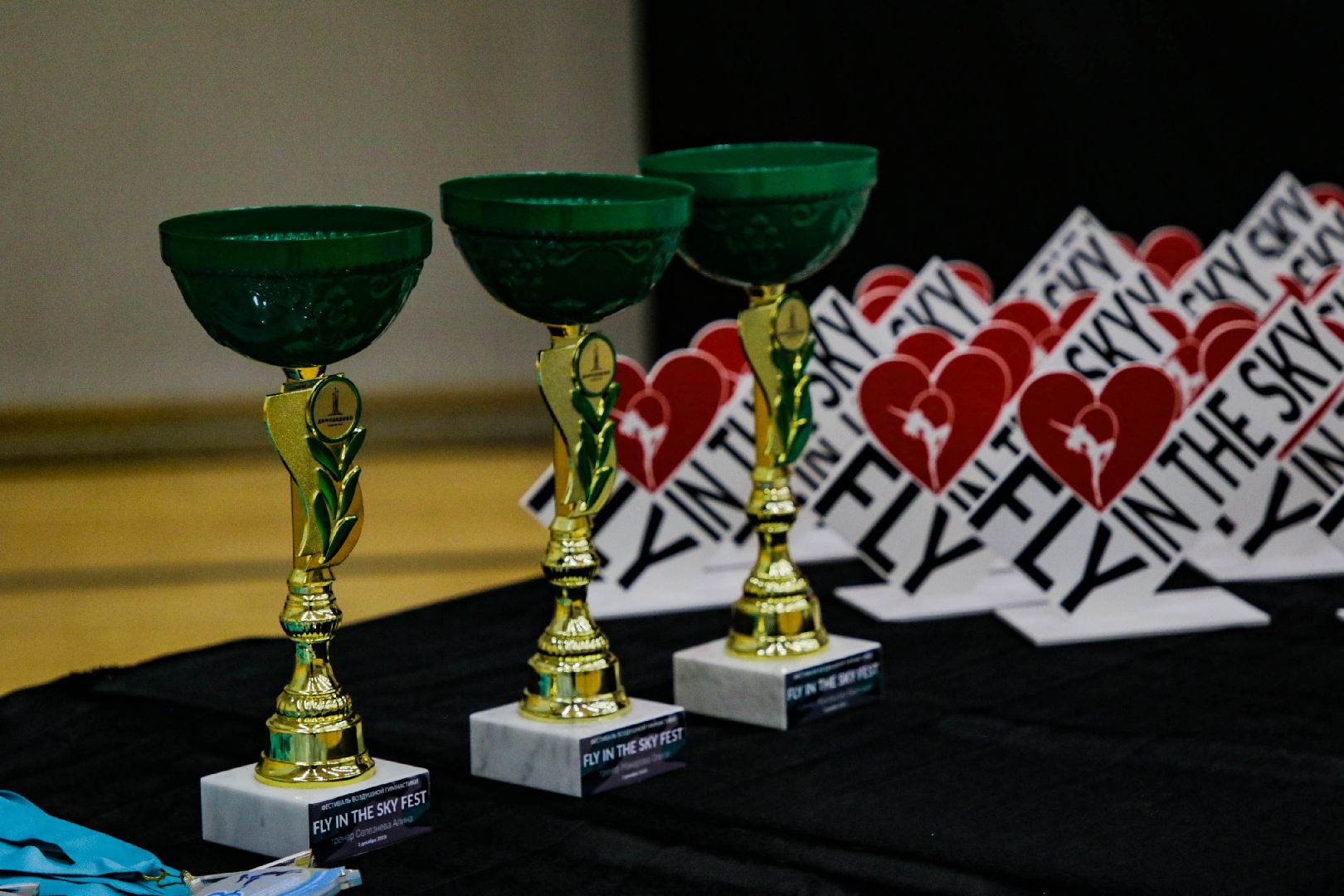 воздушная гимнастика, минспорт, Домодедово,