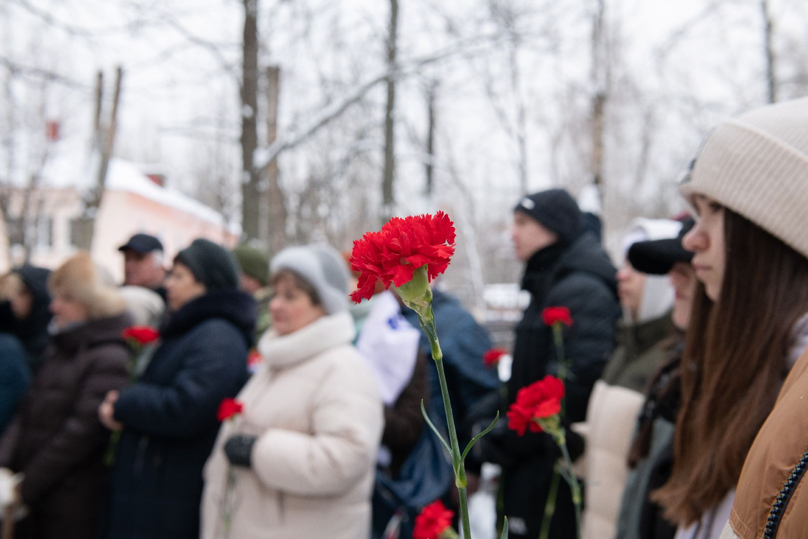 лыткарино, общество, сво, герой, мемориальная доска, школа,