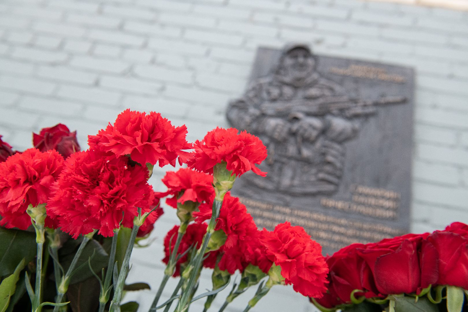 лыткарино, общество, сво, герой, мемориальная доска, школа,