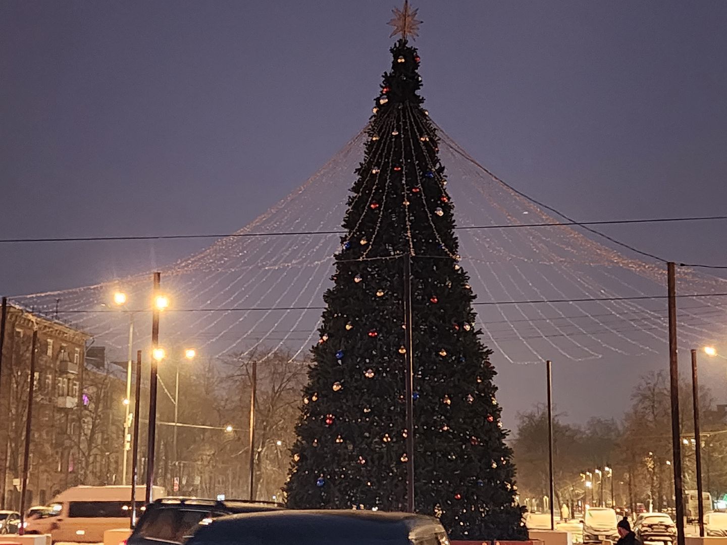 МБУ Городское хозяйство, Никитин, елка, интсалляция, сюрприз, украшение,