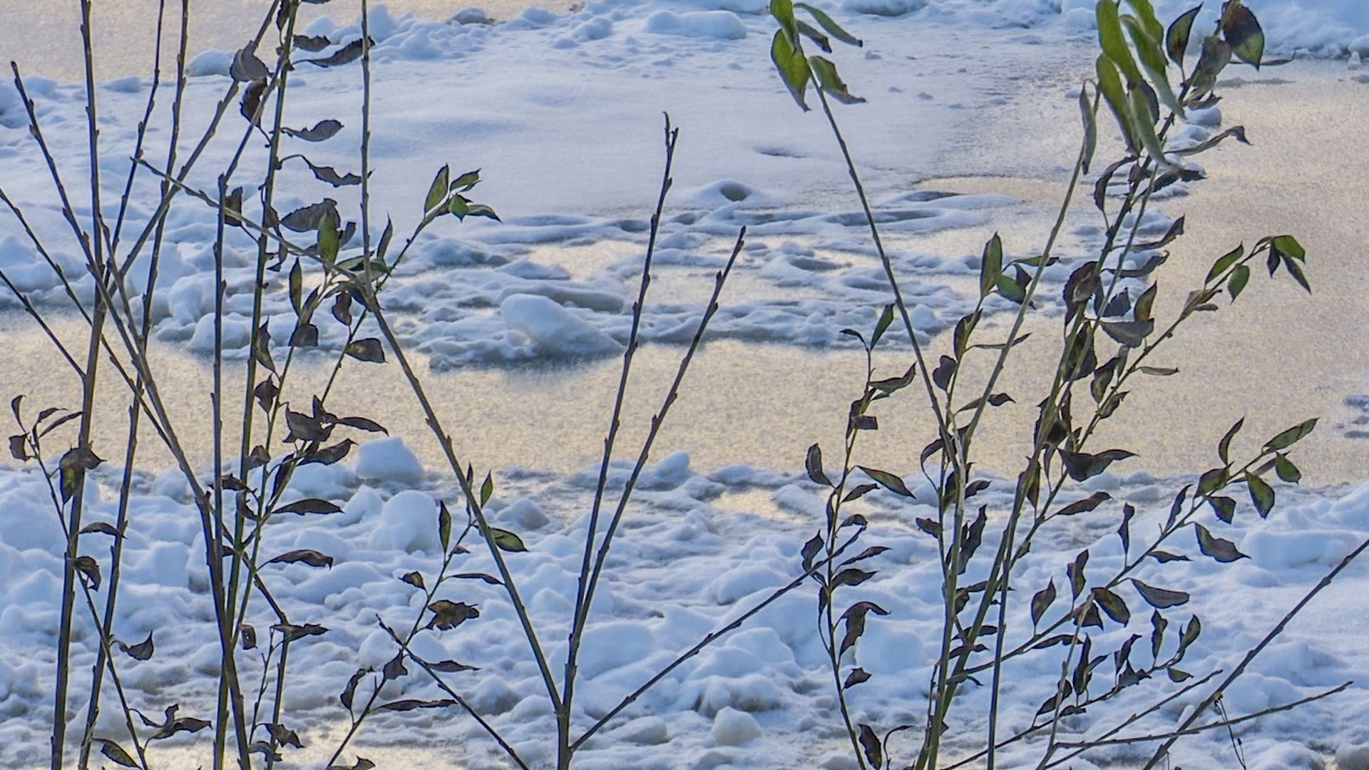 Клин, общество, спасатели, зима, лед,