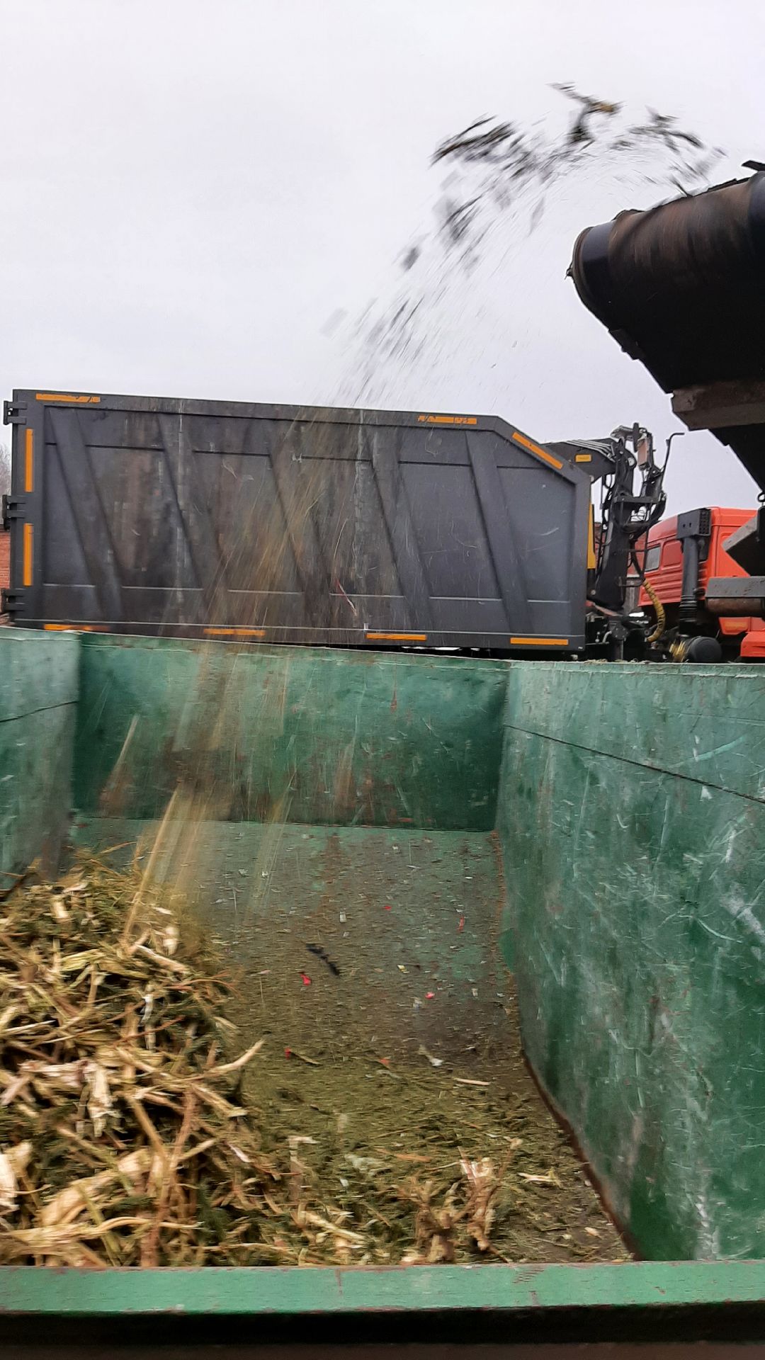 Серпухов Елки