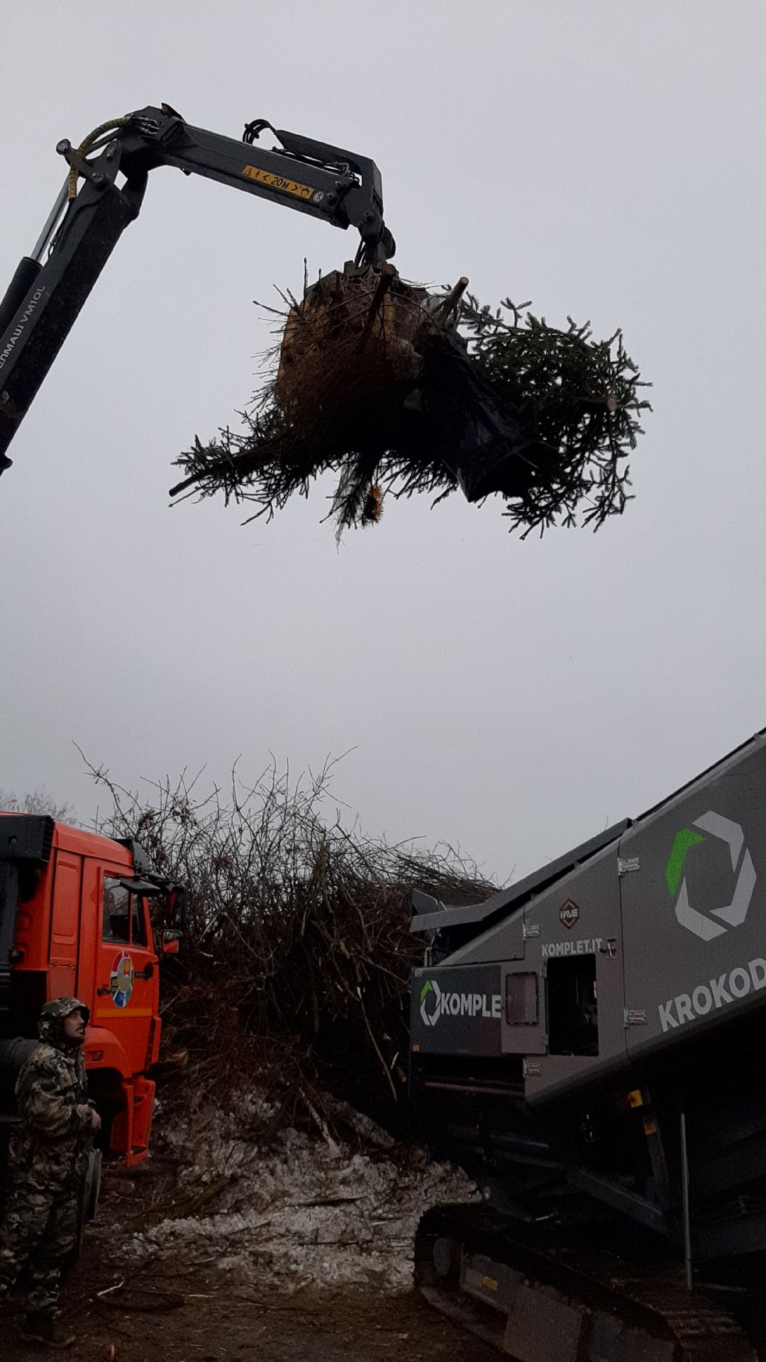 Серпухов Елки