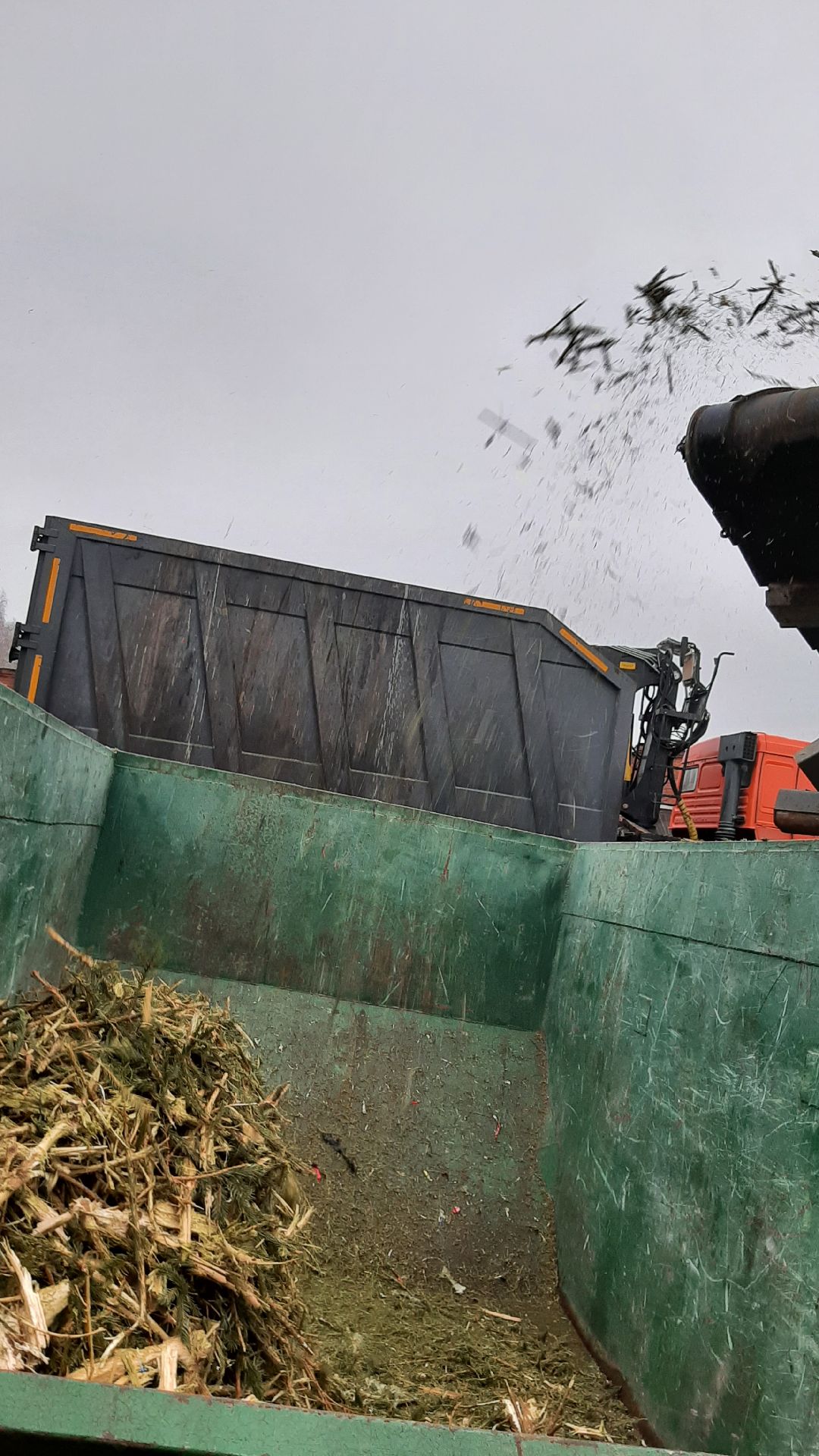 Серпухов Елки