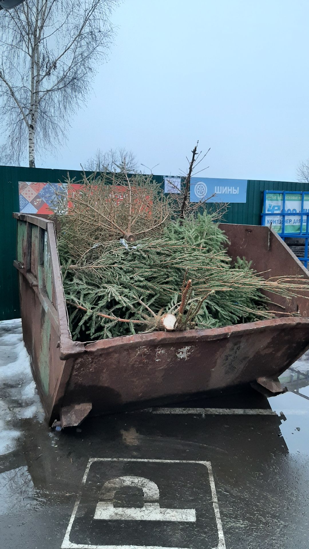 Серпухов Елки