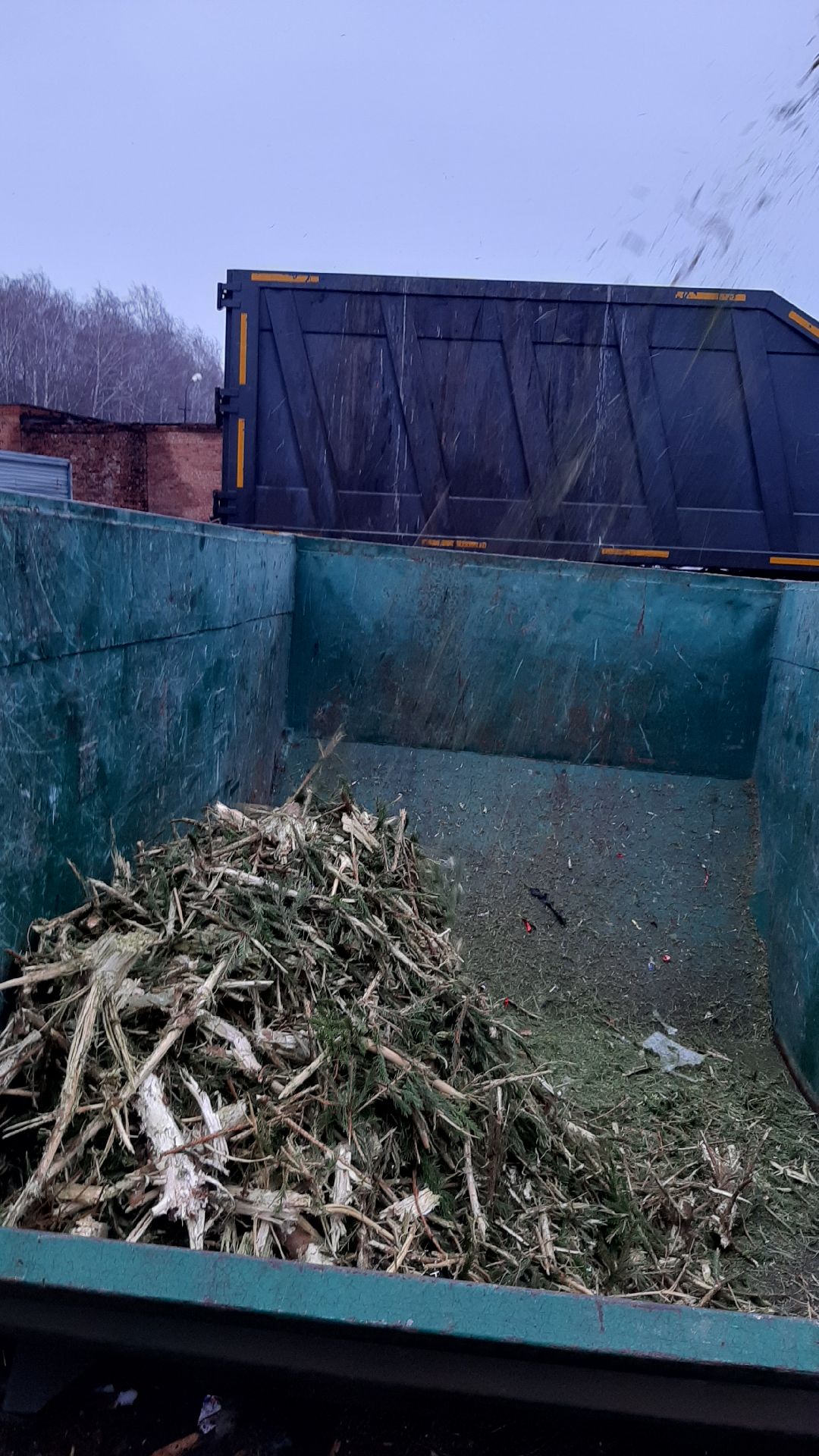 Серпухов Елки