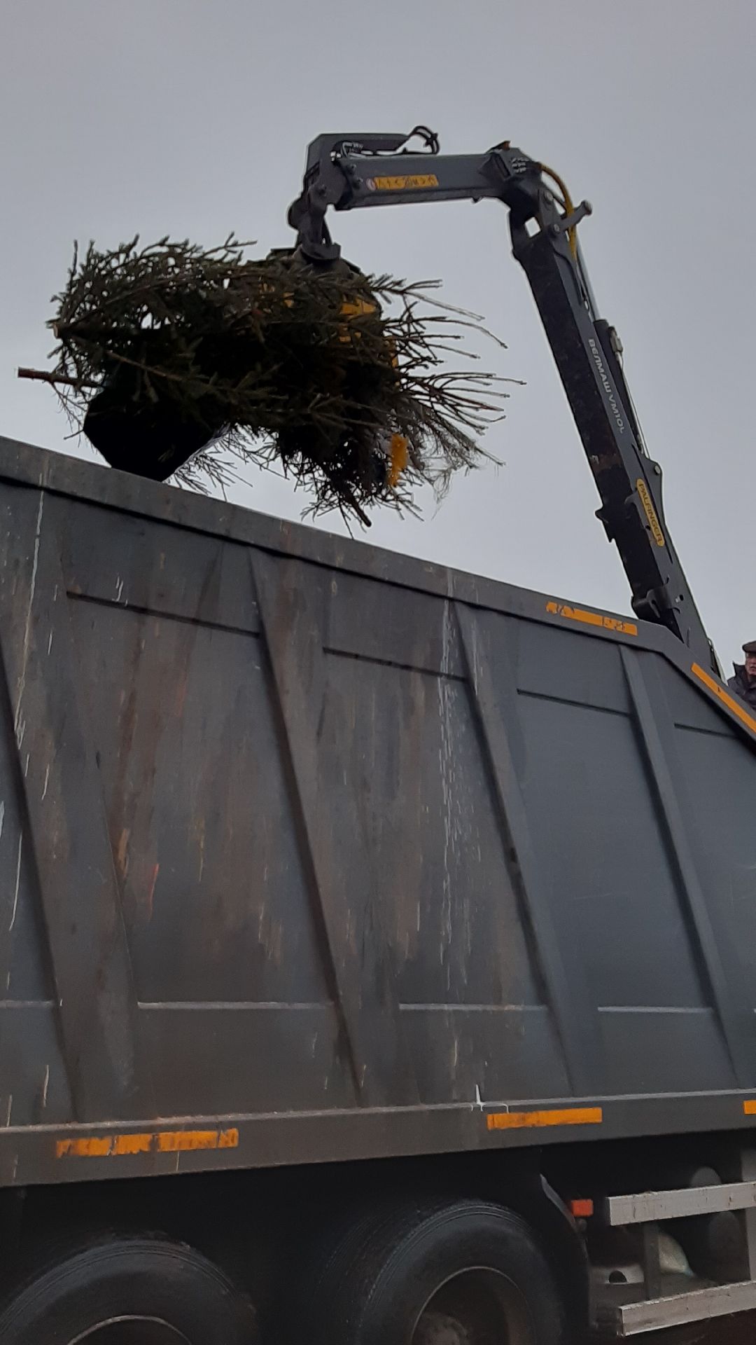 Серпухов Елки