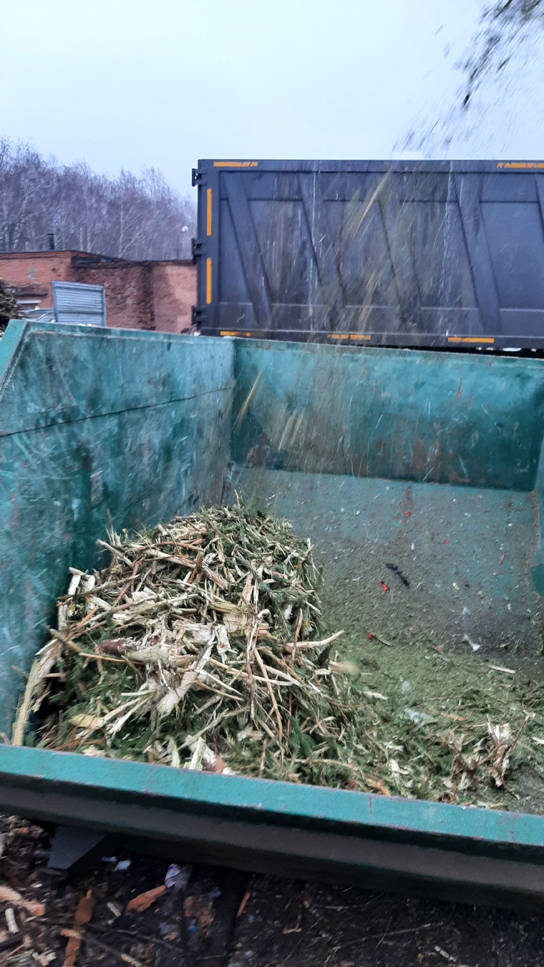 Серпухов Елки