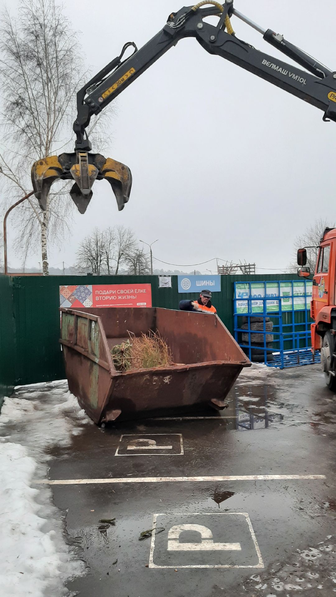 Серпухов Елки