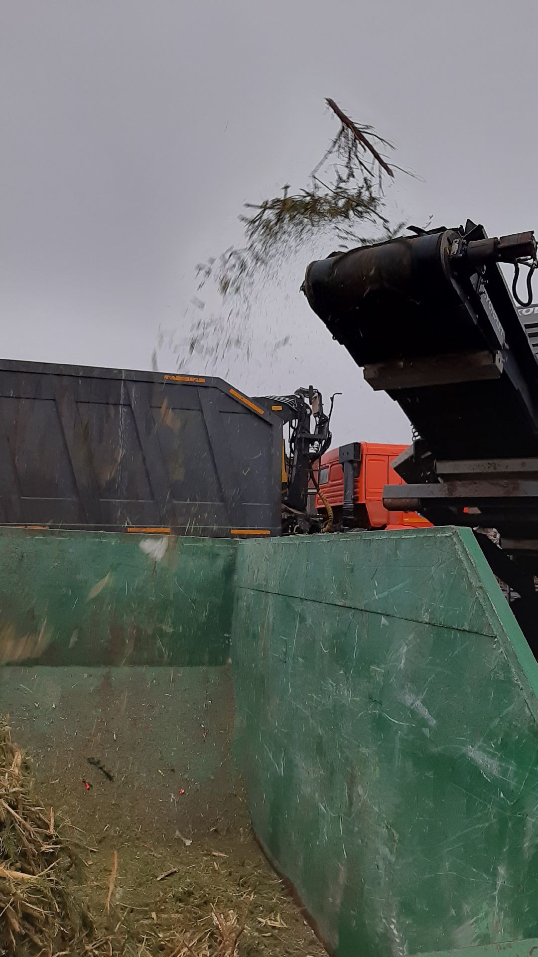 Серпухов Елки