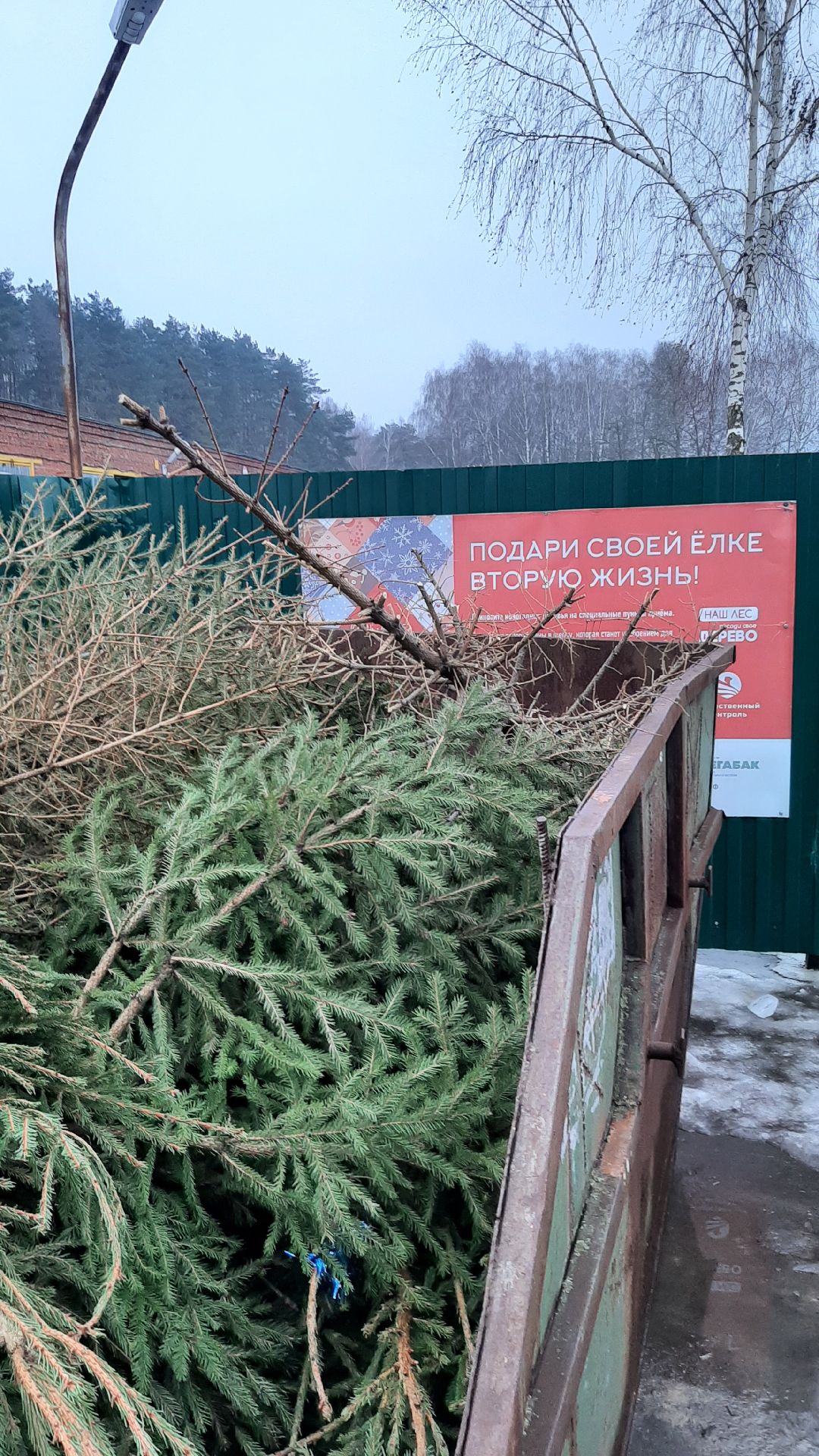 Серпухов Елки