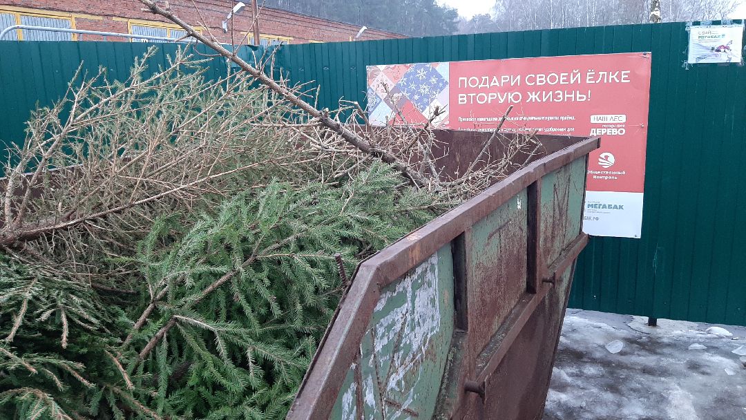 Серпухов Елки