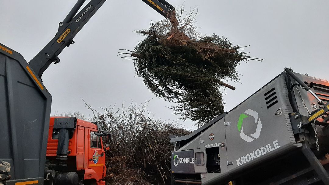 Серпухов Елки