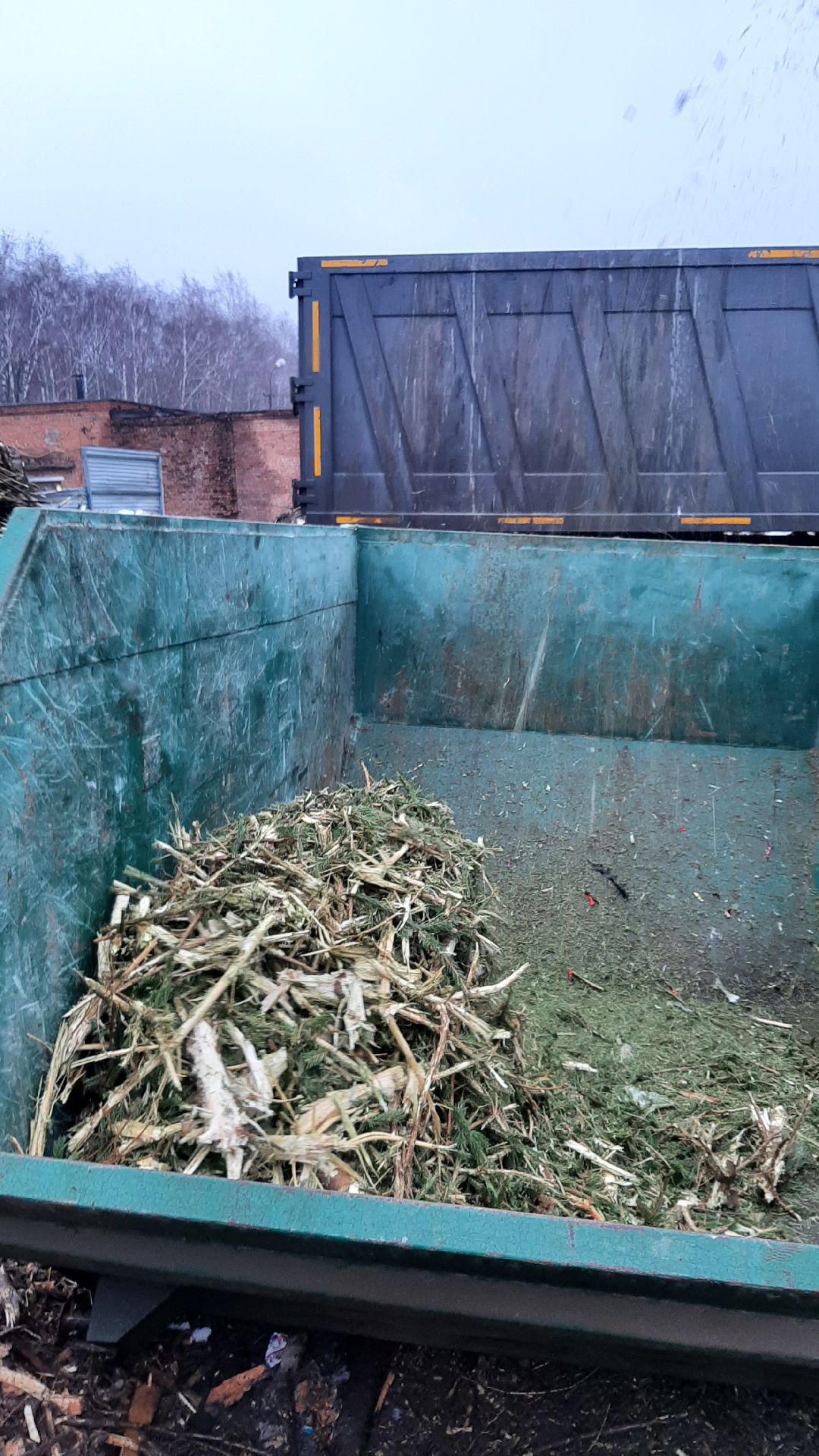 Серпухов Елки