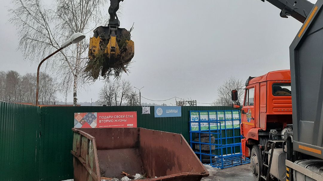 Серпухов Елки