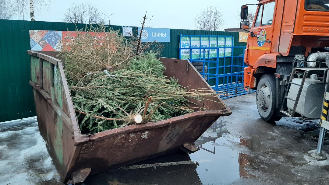 Серпухов Елки