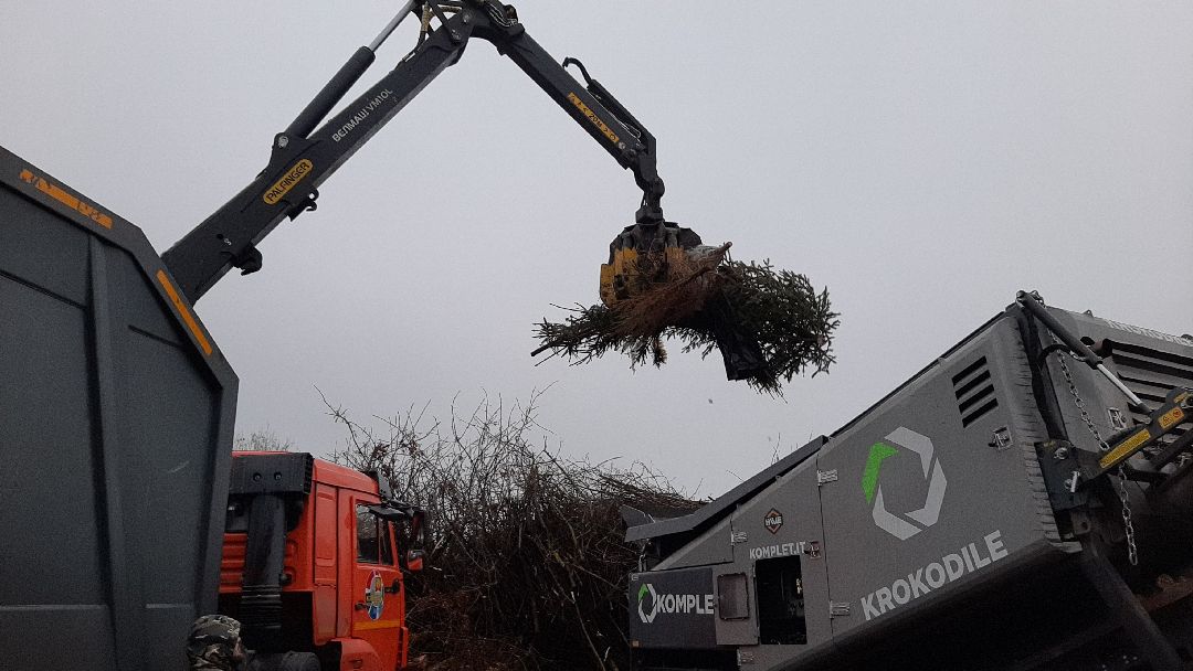 Серпухов Елки