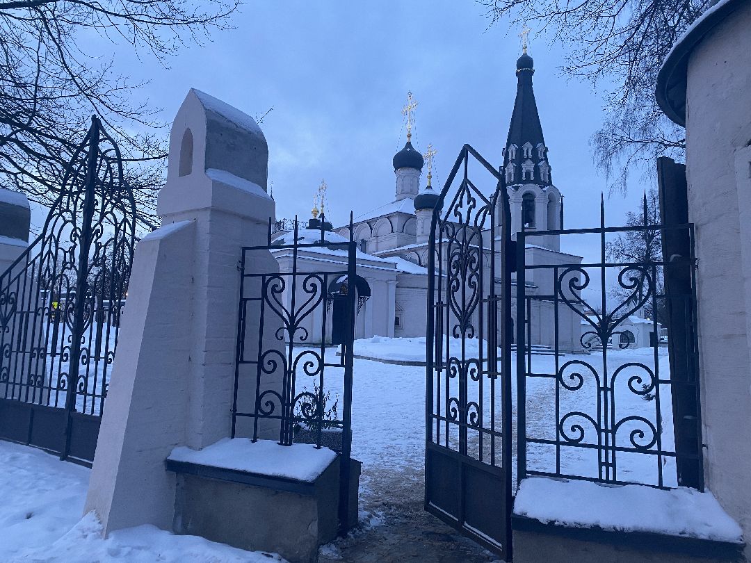 Долгопрудный, общество