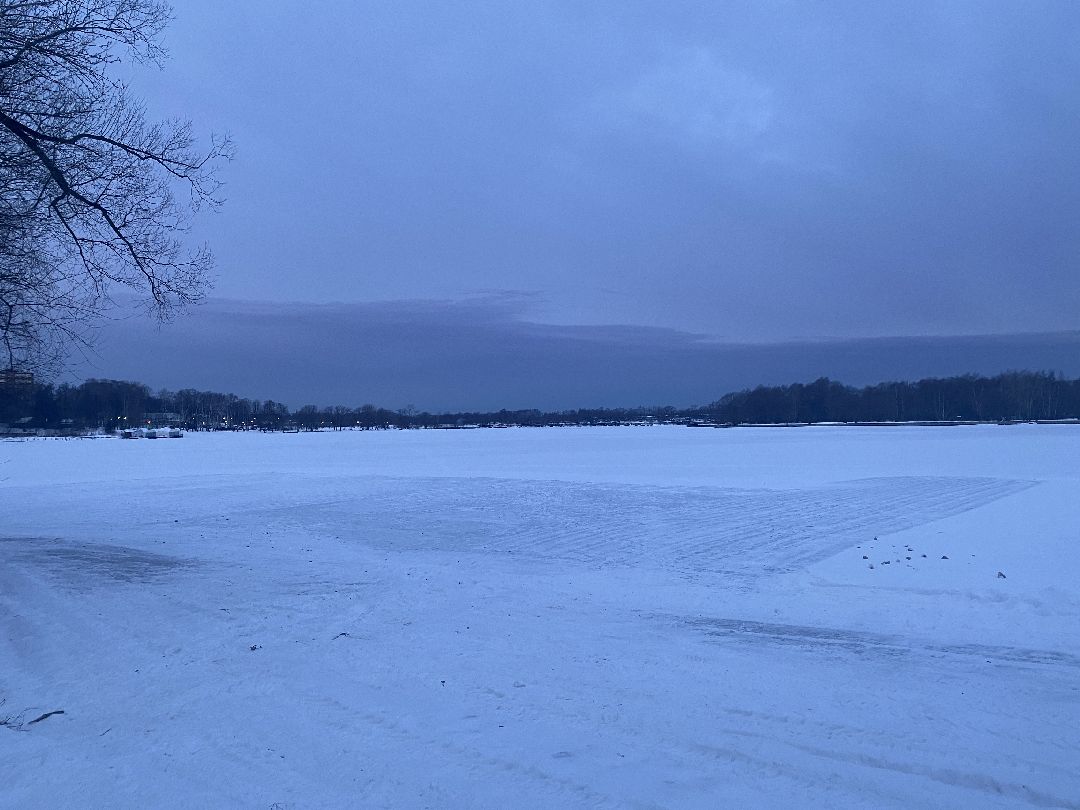 Долгопрудный, общество