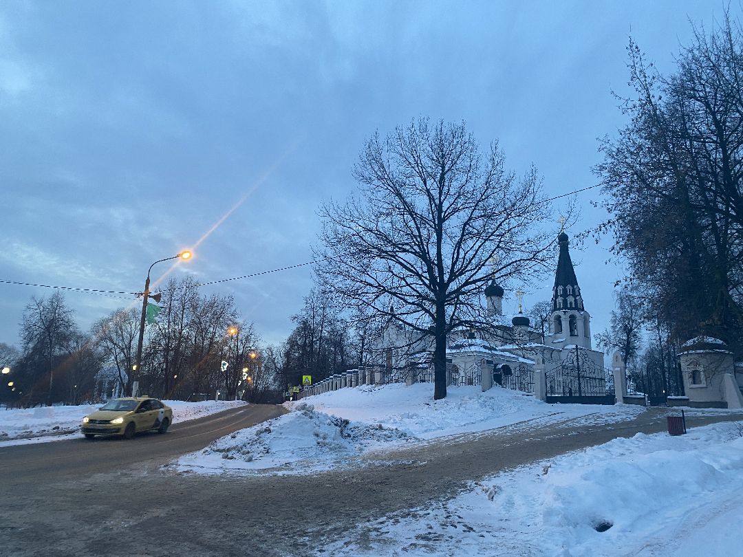 Долгопрудный, общество