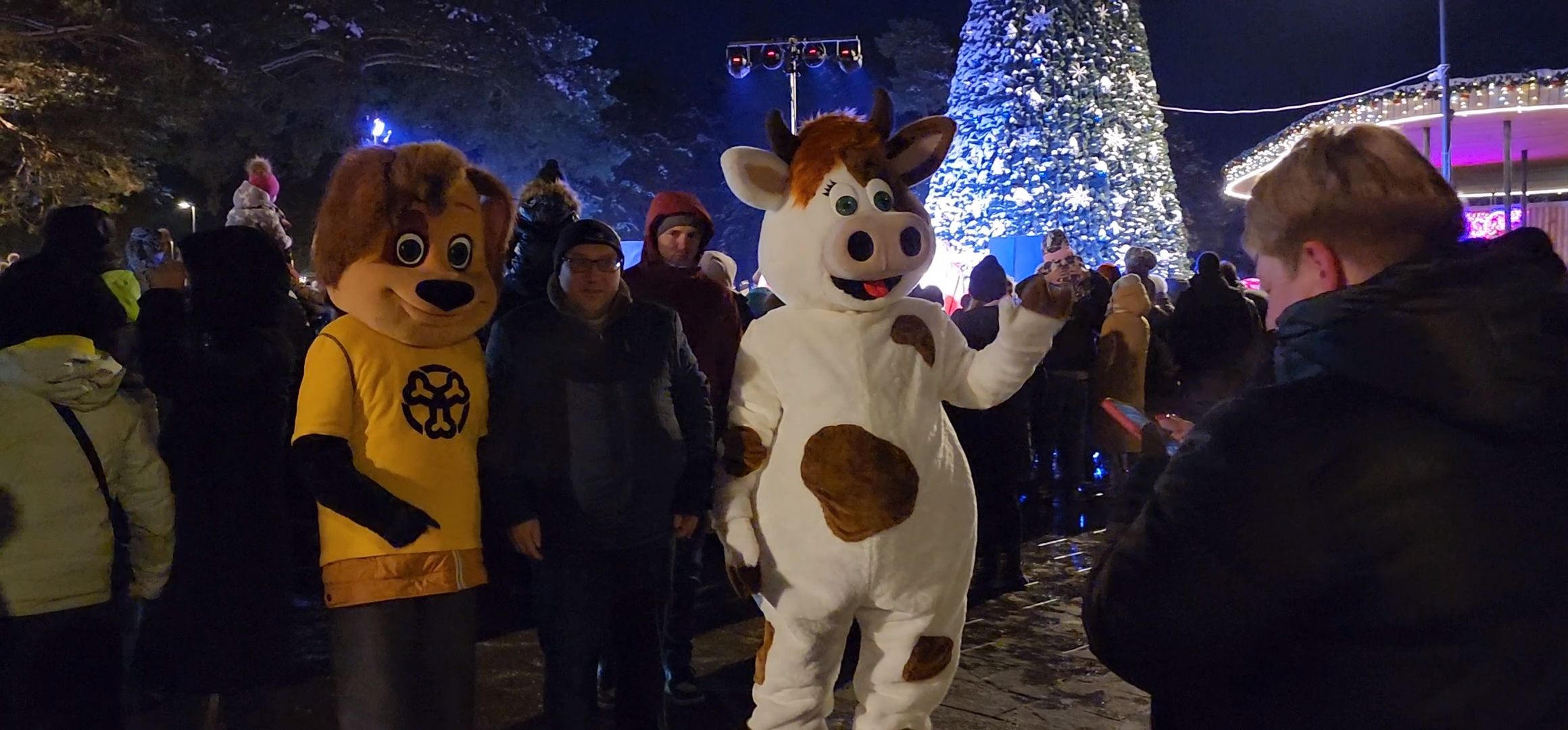 Коломна, Озеры, главная елка, новогодняя елка, открытие городской елки, новый год,