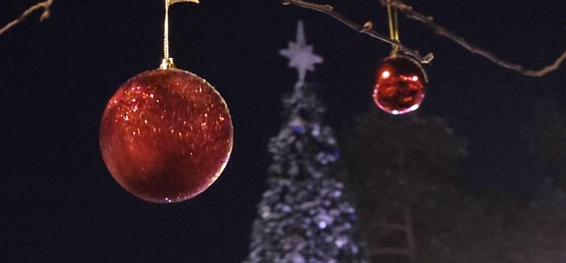 Коломна, Озеры, главная елка, новогодняя елка, открытие городской елки, новый год,