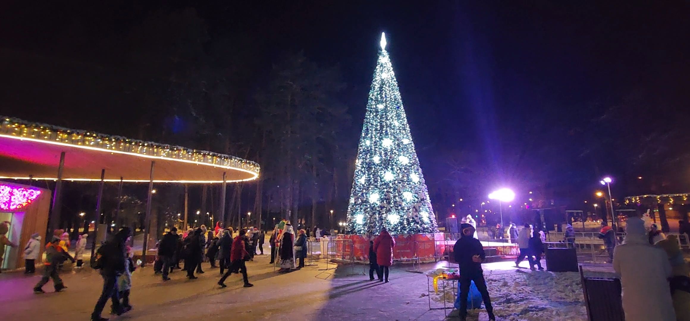 Коломна, Озеры, главная елка, новогодняя елка, открытие городской елки, новый год,