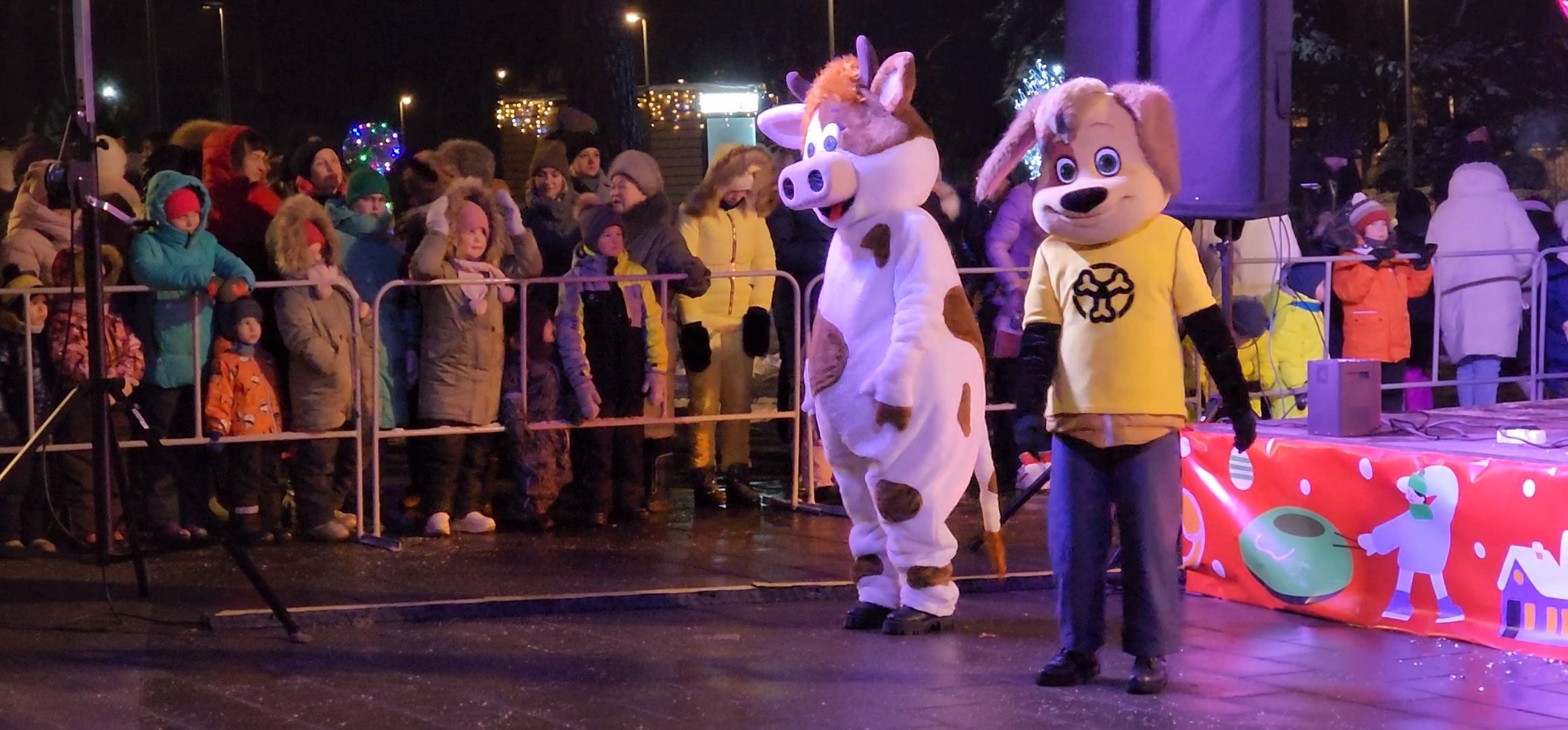 Коломна, Озеры, главная елка, новогодняя елка, открытие городской елки, новый год,