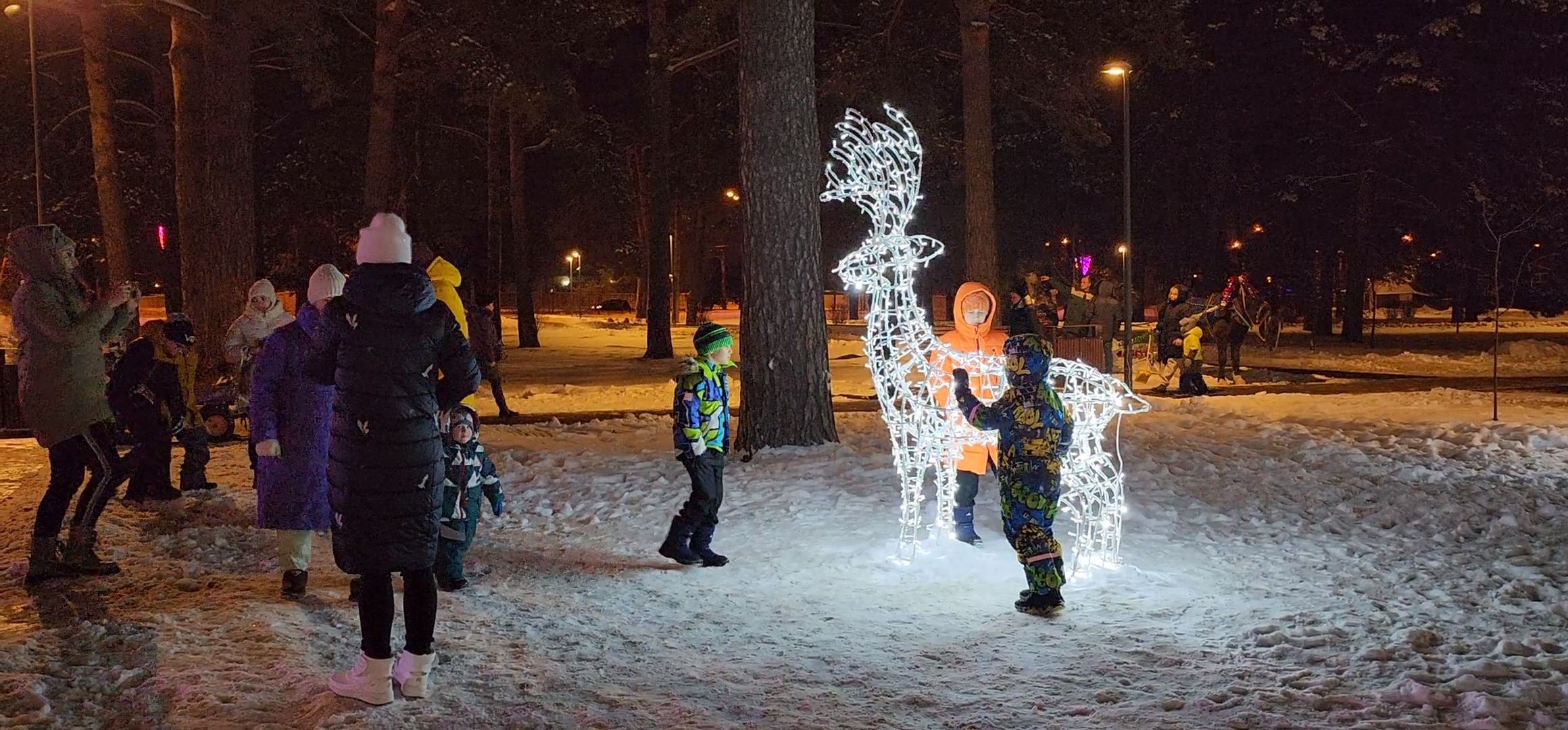 Коломна, Озеры, главная елка, новогодняя елка, открытие городской елки, новый год,
