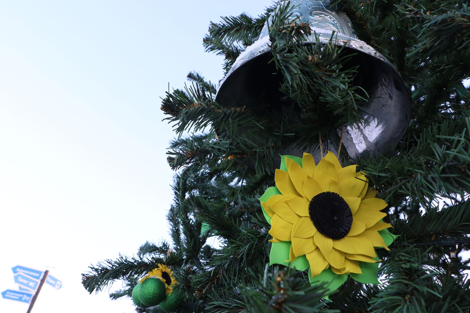 Серебряные Пруды, Зима в Подмосковье, Культурный код, ПКиО Серебряный, подсолнух, Даниил Бокарев,