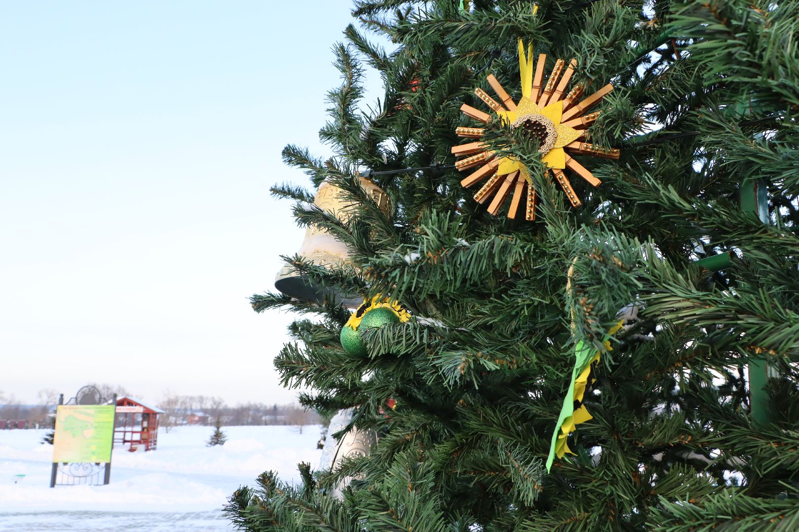 Серебряные Пруды, Зима в Подмосковье, Культурный код, ПКиО Серебряный, подсолнух, Даниил Бокарев,
