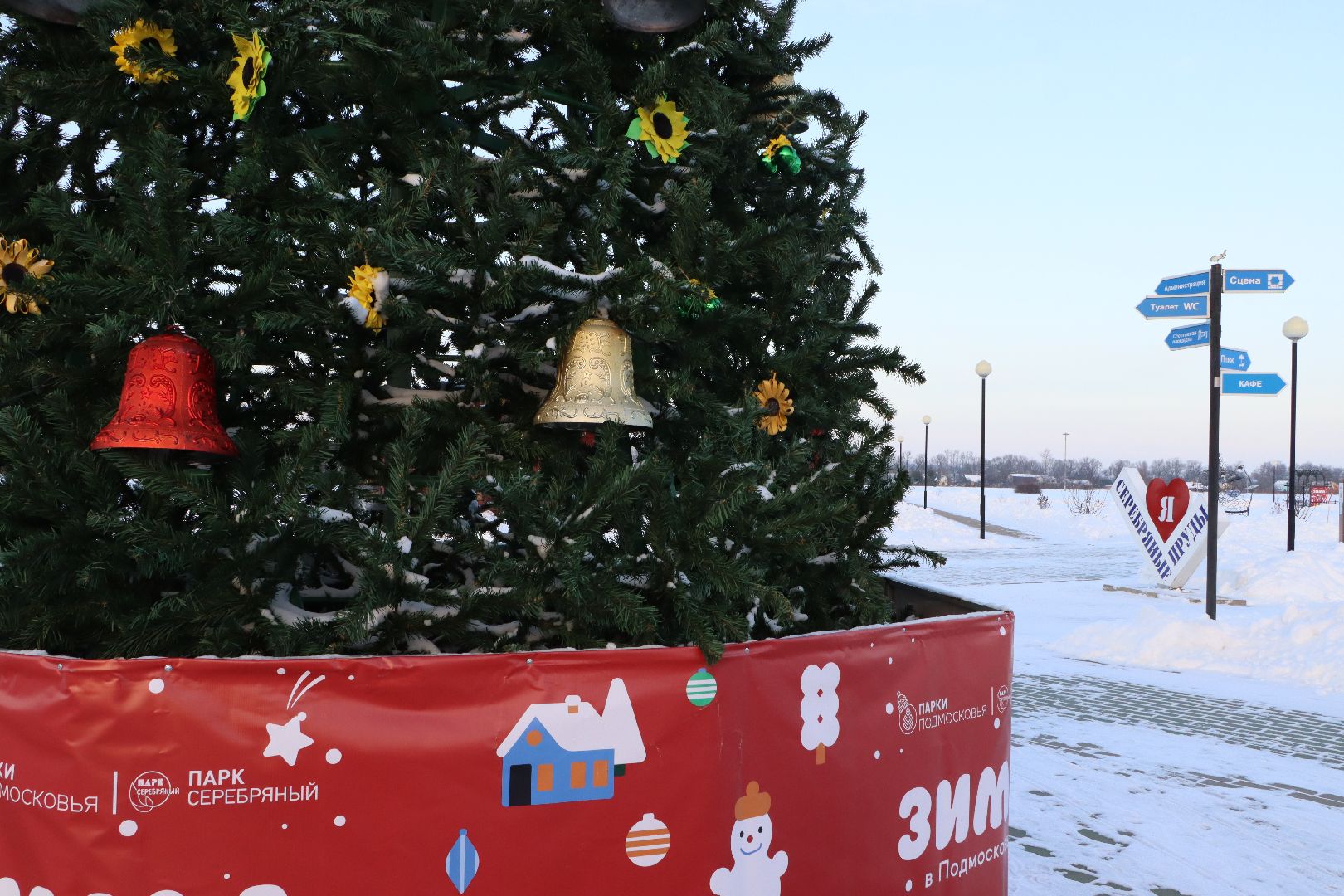 Серебряные Пруды, Зима в Подмосковье, Культурный код, ПКиО Серебряный, подсолнух, Даниил Бокарев,