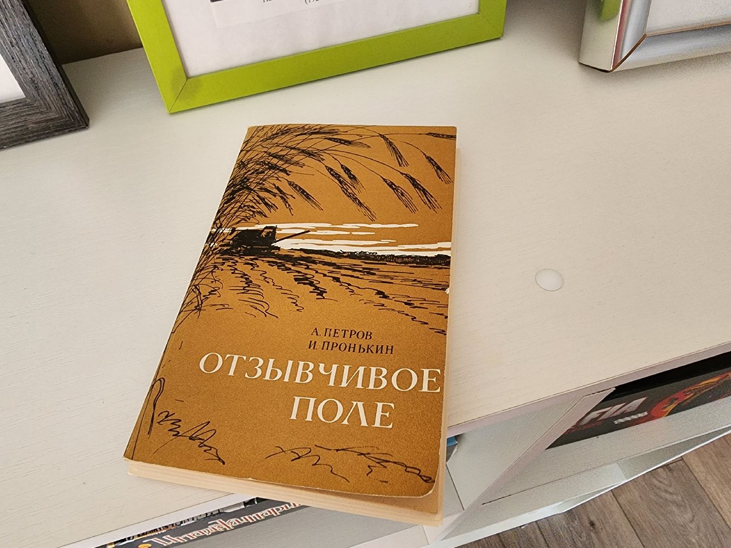 красноармейск, г.о. пушкинский, краеведение, редкая книга,