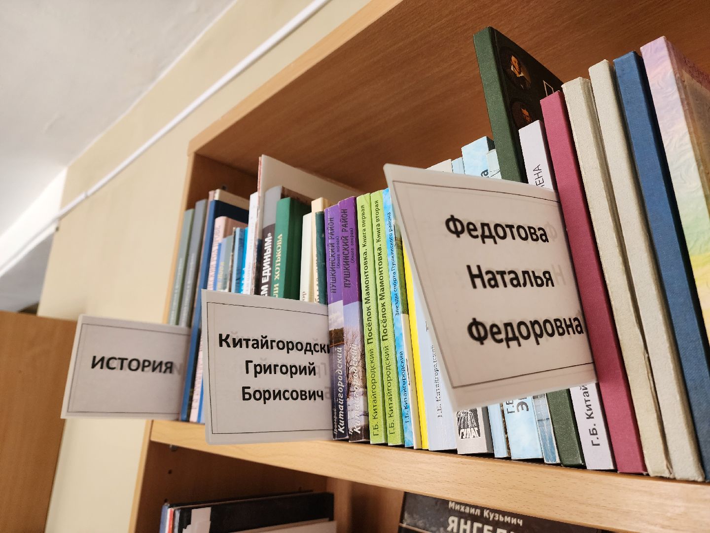 красноармейск, г.о. пушкинский, краеведение, редкая книга,