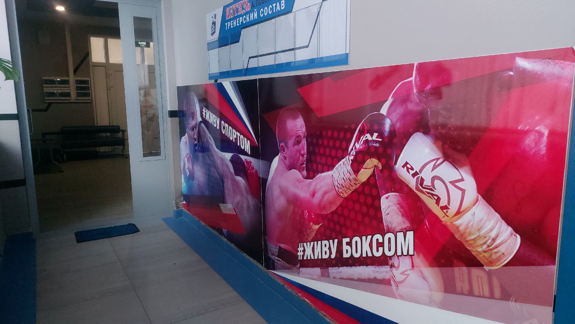 Бокс, Спорт, спорт подмосковья,