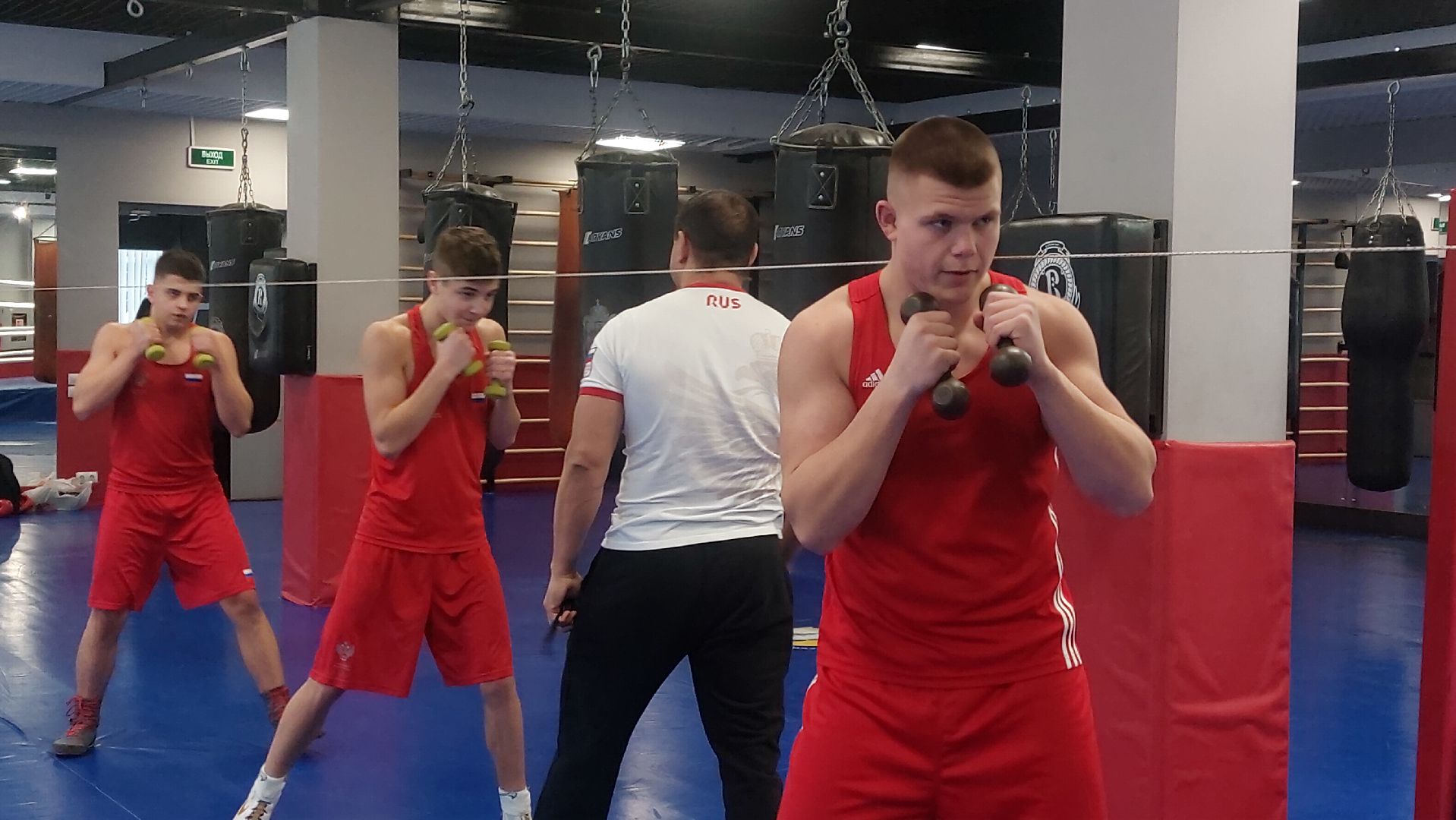 Бокс, Спорт, спорт подмосковья,